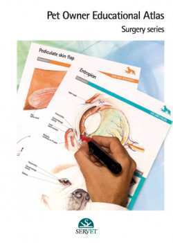 Surgery series. Pet owner educational atlas