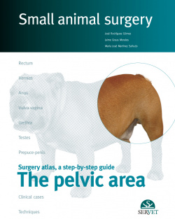 The pelvic area. Small animal surgery