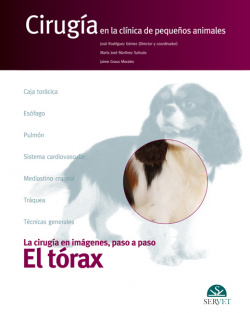 El tórax. Cirugía en la clínica de pequeños animales