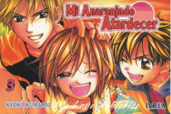 Mi Anaranjado Atardecer, 3