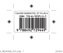 ESSENTIEL PLUS 4º.ESO (CAHIER+CD+PORTFOLIO)