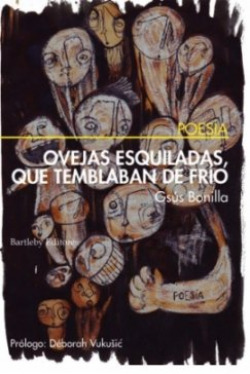 OVEJAS ESQUILADAS QUE TEMBLABAN DE FRIO