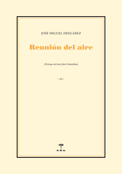 Reunión del aire