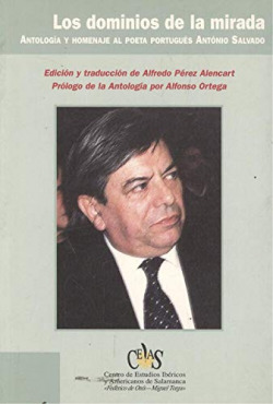 LOS DOMINIOS DE LA MIRADA