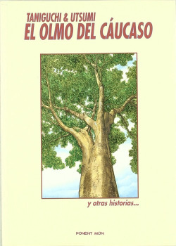 Olmo Del Caucaso