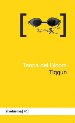 Teoría del Bloom