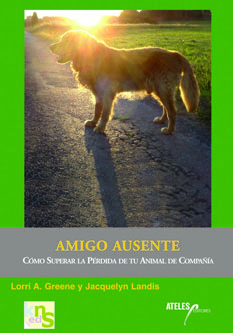 Amigo ausente