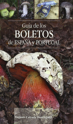 Guía de boletos de españa y portugal