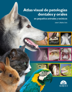 Atlas visual de patologías dentales y orales en pequeños animales y exóticos