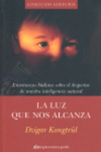 La luz que nos alzanza
