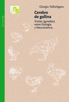 Cerebro de gallina