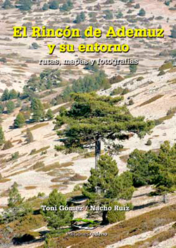 El rincón de ademuz y su entorno