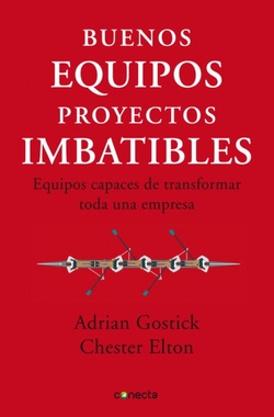 Buenos equipos, proyectos imbatibles