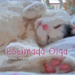Estimada Olga