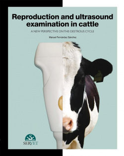 Reproduction and ultrasound examination in cattle
