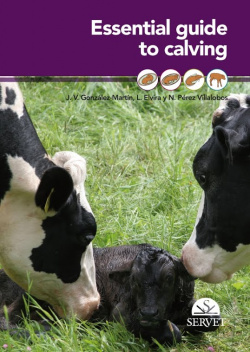 Essential guide to calving