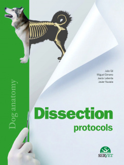 Dissection protocols. Dog Anatomy