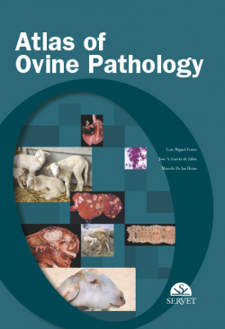 Atlas of ovine pathology