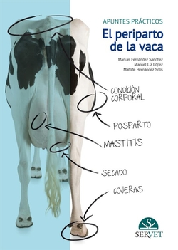 El periparto parto de la vaca