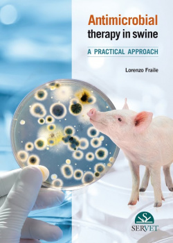 Antimicrobial therapy in swine