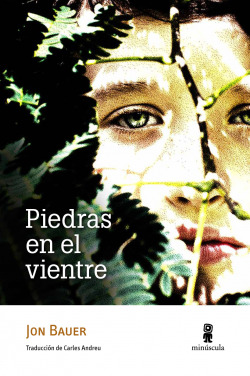Piedras en el vientre