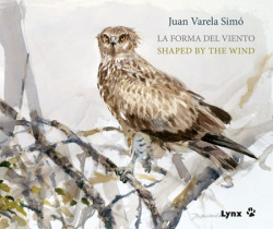 La forma del viento / Shaed by the Wind