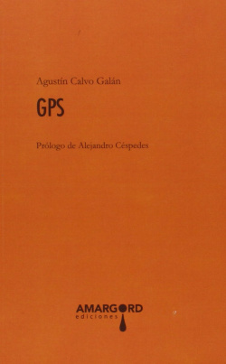 38.GPS (POESIA)