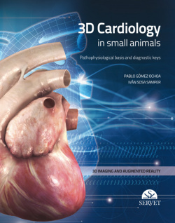 3D cardiology in small animals