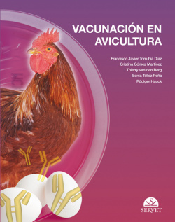 Vacunación en avicultura