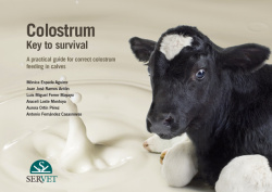 Colostrum. key to survival