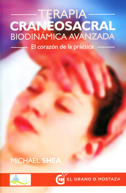 Terapia craneosacral
