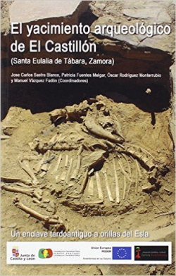 El yacimiento arqueologico de El Castillón (Santa Eulalia de Tábara, Zamora). Un enclave tardoantigu
