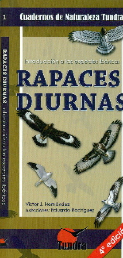 Rapaces diurnas