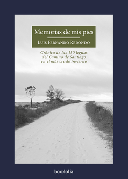 MEMORIAS DE MIS PIES