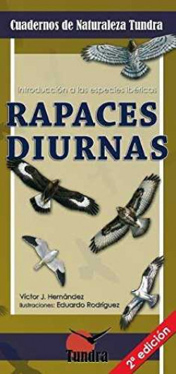 Rapaces dirunas