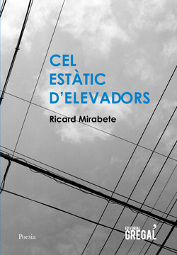 Cel estatic d´elevadors