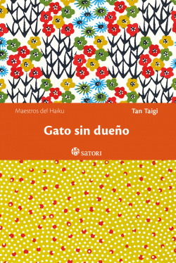 Gato sin dueño