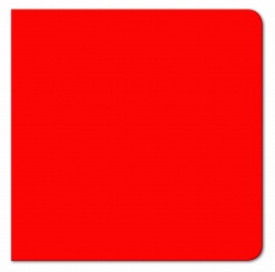 EL LIBRO ROJO