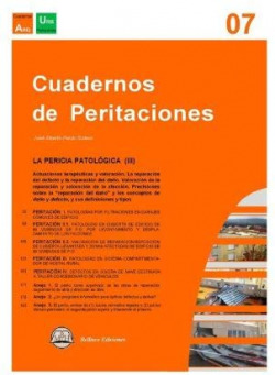 CUADERNOS DE PERITACIONES - Volumen 7