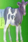 Vaca