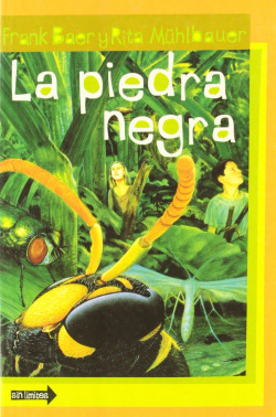 PIEDRA NEGRA, LA