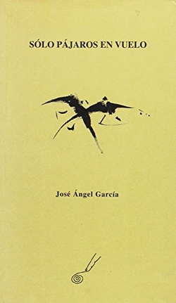 Sólo pájaro en vuelo