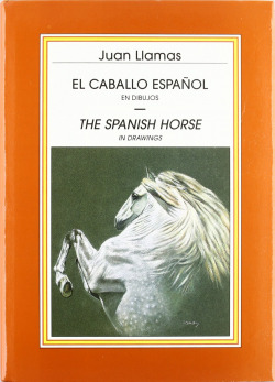 CABALLO ESPAÑOL EN DIBUJOS,EL
