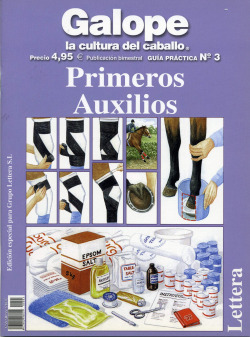 Guía práctica primeros auxilios