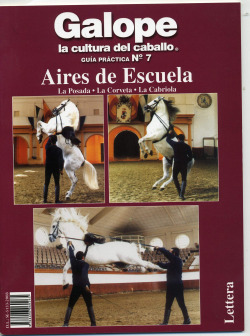 Guía práctica aire de escuela II