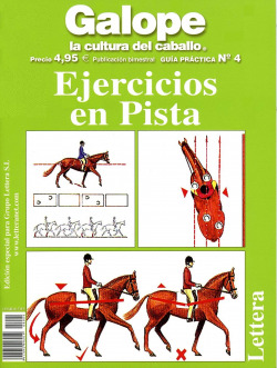 GUÍA PRÁCTICA EJERCICIOS EN PISTA