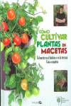Cómo cultivar plantas en macetas