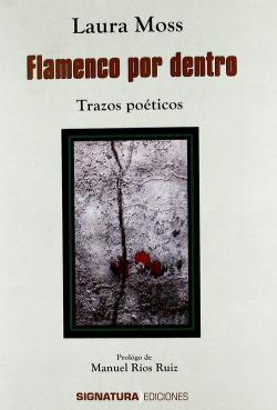 Flamenco por dentro