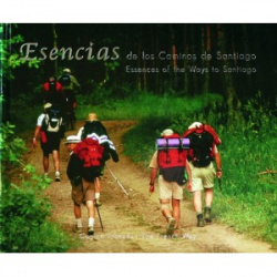 Camino francés