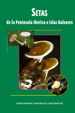 SETAS DE LA PENÍNSULA IBÈRICA E ISLAS BALEARES